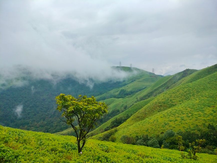 Misty hills of Chikkamagaluru, Karnataka